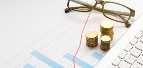 Даксин-аудит: выявленные риски и наши рекомендации.