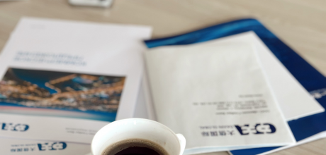 Регулярный обзор Даксин Глобал Бел - 10 месяцев 2023г.